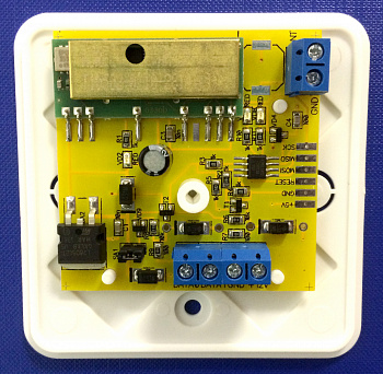 GATE Gate-RX Радиоканальный считыватель