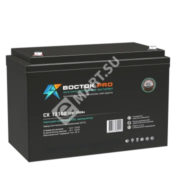 ВОСТОК PRO СХ 12100 Аккумуляторная батарея