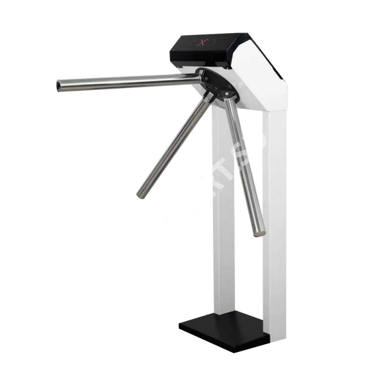 3v-model-a-vid-glavnyj-1