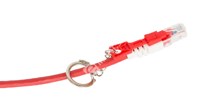 7wgxv92ktm05w0gx8xexhws4j0w08cpb