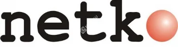 Netko Дверь для шкафа TS,T2 стеклянная 42U Ширина 800 серая, с перфорацией 